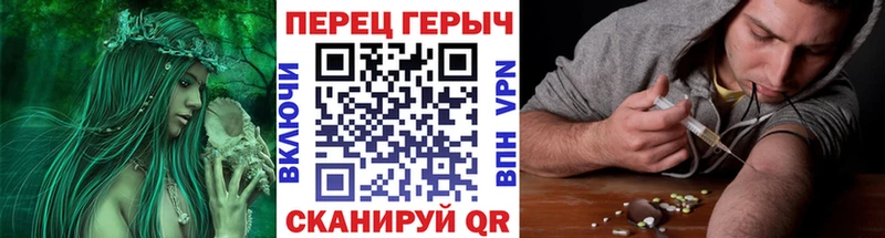 дарнет шоп  Суджа  блэк спрут ссылка  ГЕРОИН Афган 