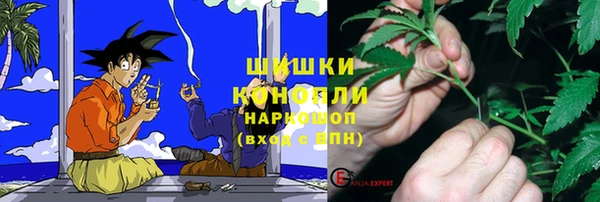 соль ск Инта