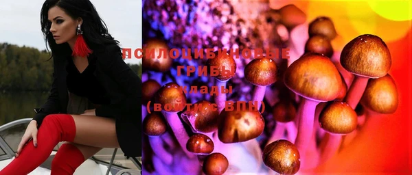 бошки Иннополис