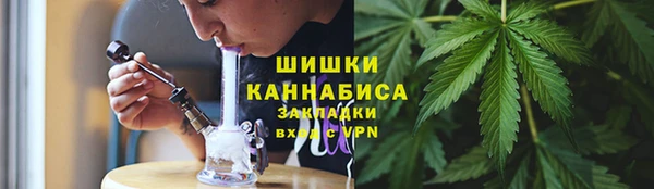 бошки Иннополис