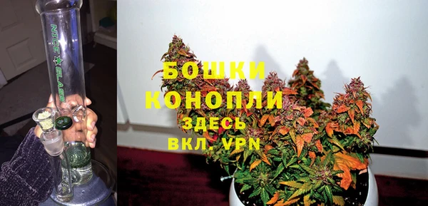 бошки Иннополис